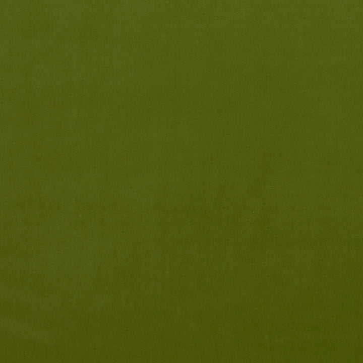 Alvar Citron by Clarke And Clarke Designer Fabric CLARKE & CLARKE ALVAR POLYESTER - 100% China HEAVY Horizontal: 0 and Vertical: 0 57 - Swanky Fabrics -