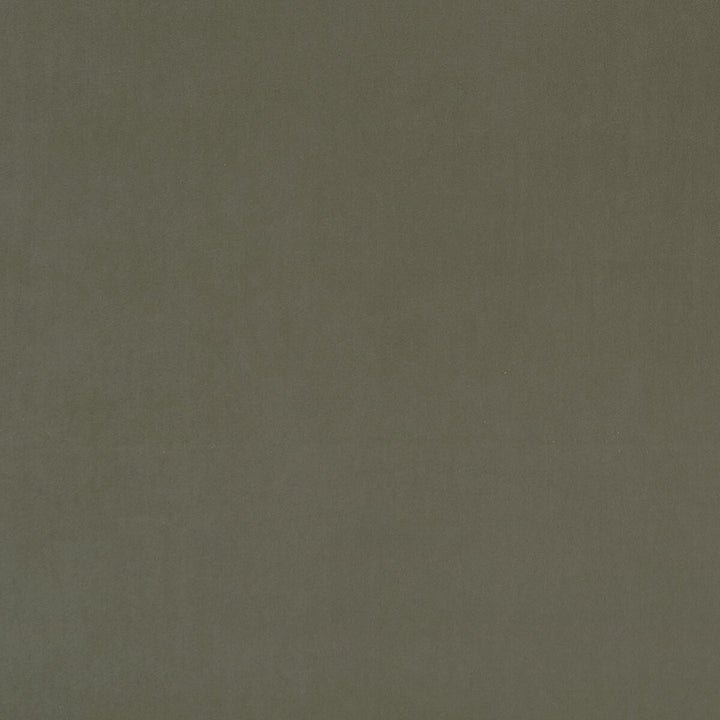 Alvar Sage by Clarke And Clarke Fabric Clarke And Clarke Fabric Alvar SageFabric CLARKE & CLARKE ALVAR POLYESTER - 100% China </p><p>Repeat: H: 0, V: 0 57 - Fabric Carolina -