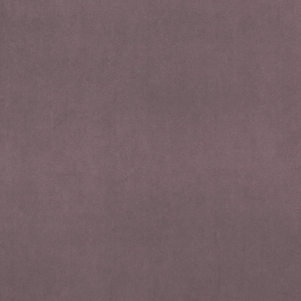 Alvar Amethyst by Clarke And Clarke Fabric Clarke And Clarke Fabric Alvar AmethystFabric CLARKE & CLARKE ALVAR 2 POLYESTER - 100% China </p><p>Repeat: H: 0, V: 0 56.75 - Fabric Carolina -