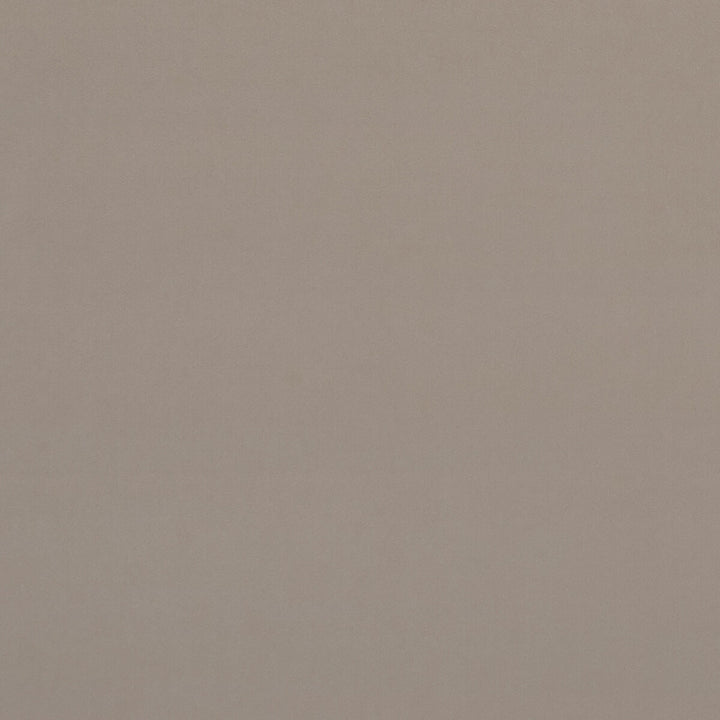 Alvar Biscotti by Clarke And Clarke Fabric Clarke And Clarke Fabric Alvar BiscottiFabric CLARKE & CLARKE ALVAR 2 POLYESTER - 100% China </p><p>Repeat: H: 0, V: 0 56.75 - Fabric Carolina -