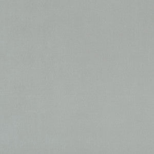 Alvar Dove by Clarke And Clarke Designer Fabric