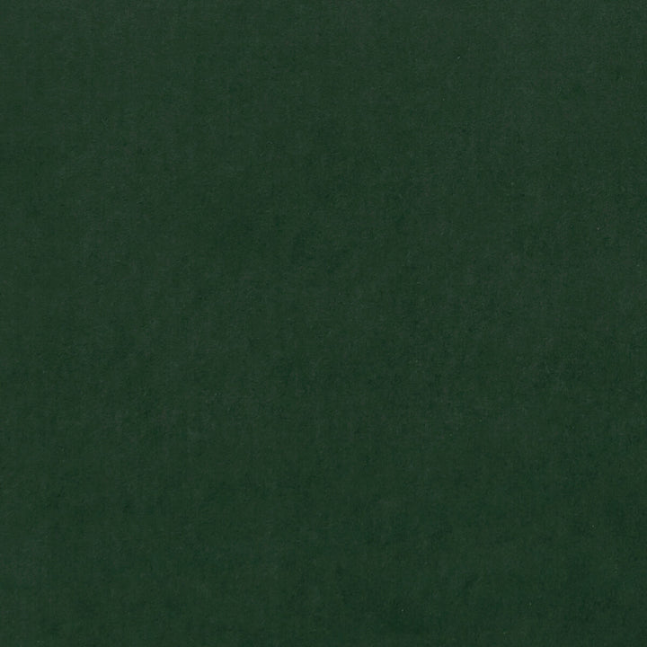 Alvar Emerald by Clarke And Clarke Fabric Clarke And Clarke Fabric Alvar EmeraldFabric CLARKE & CLARKE ALVAR 2 POLYESTER - 100% China </p><p>Repeat: H: 0, V: 0 56.75 - Fabric Carolina -