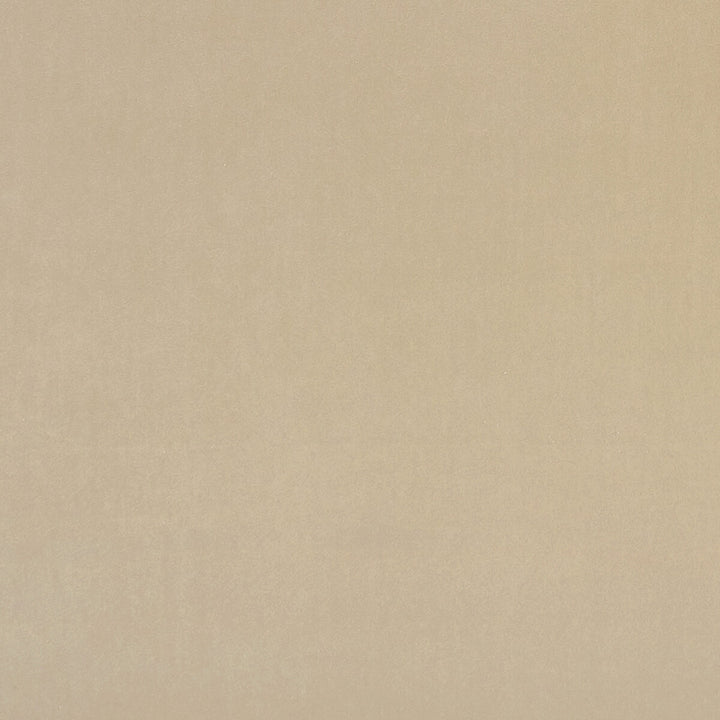 Alvar Flaxen by Clarke And Clarke Designer Fabric CLARKE & CLARKE ALVAR 2 POLYESTER - 100% China HEAVY Horizontal: 0 and Vertical: 0 56.75 - Swanky Fabrics -