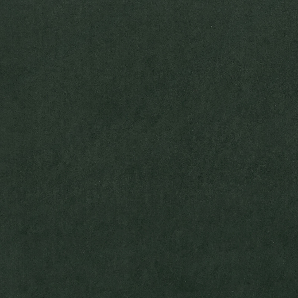 Alvar Forest by Clarke And Clarke Fabric Clarke And Clarke Fabric Alvar ForestFabric CLARKE & CLARKE ALVAR 2 POLYESTER - 100% China </p><p>Repeat: H: 0, V: 0 56.75 - Fabric Carolina -