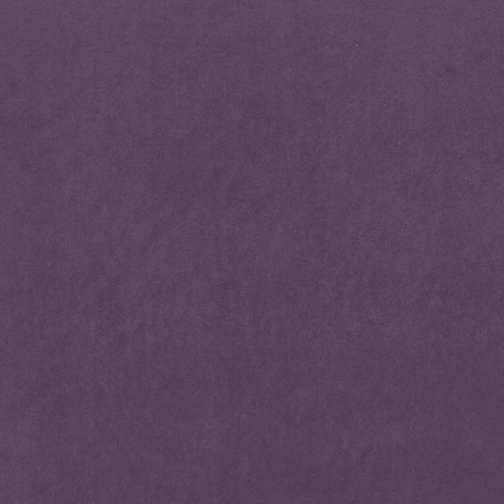 Alvar Grape by Clarke And Clarke Fabric Clarke And Clarke Fabric Alvar GrapeFabric CLARKE & CLARKE ALVAR 2 POLYESTER - 100% China </p><p>Repeat: H: 0, V: 0 56.75 - Fabric Carolina -