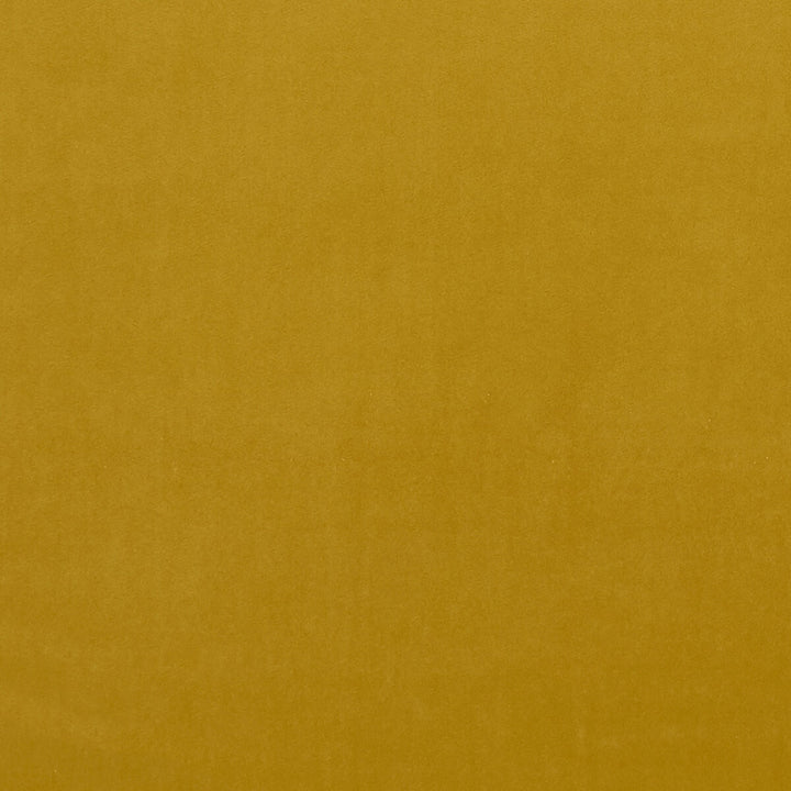 Alvar Honey by Clarke And Clarke Designer Fabric CLARKE & CLARKE ALVAR 2 POLYESTER - 100% China HEAVY Horizontal: 0 and Vertical: 0 56.75 - Swanky Fabrics -