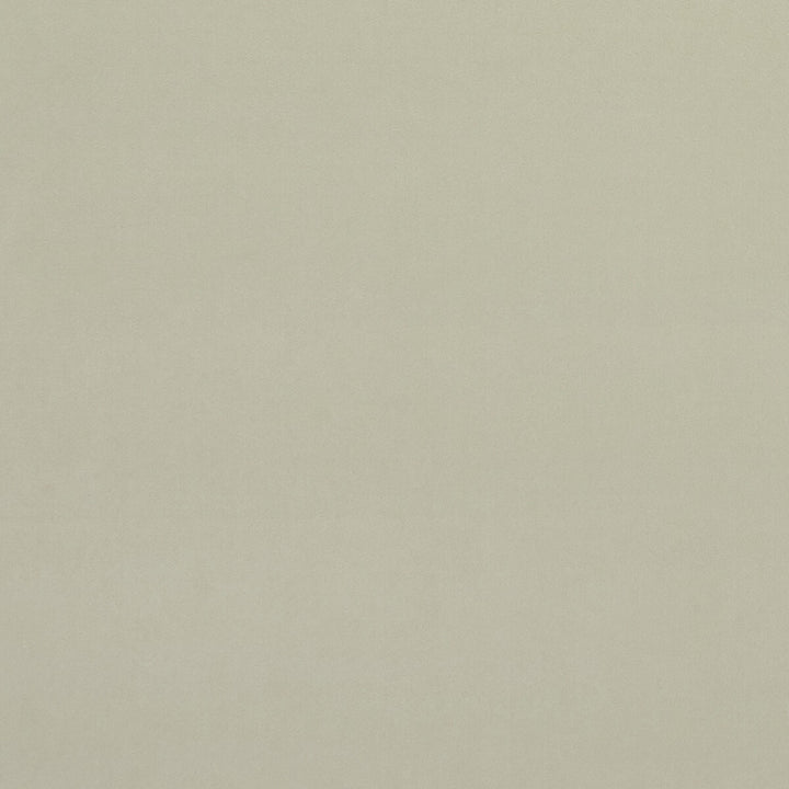 Alvar Ivory by Clarke And Clarke Designer Fabric CLARKE & CLARKE ALVAR 2 POLYESTER - 100% China HEAVY Horizontal: 0 and Vertical: 0 56.75 - Swanky Fabrics -