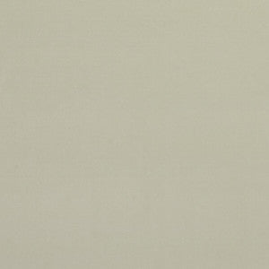 Alvar Ivory by Clarke And Clarke Designer Fabric