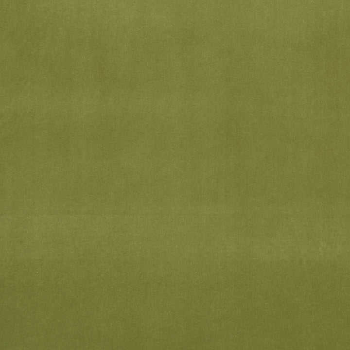 Alvar Leaf by Clarke And Clarke Designer Fabric CLARKE & CLARKE ALVAR 2 POLYESTER - 100% China HEAVY Horizontal: 0 and Vertical: 0 56.75 - Swanky Fabrics -