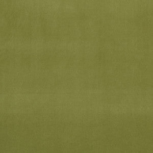 Alvar Leaf by Clarke And Clarke Designer Fabric