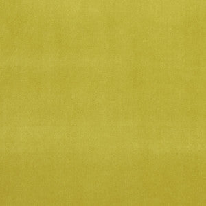 Alvar Lime by Clarke And Clarke Designer Fabric