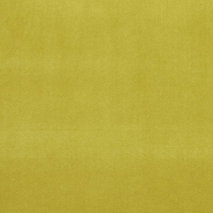 Alvar Lime by Clarke And Clarke Designer Fabric CLARKE & CLARKE ALVAR 2 POLYESTER - 100% China HEAVY Horizontal: 0 and Vertical: 0 56.75 - Swanky Fabrics -