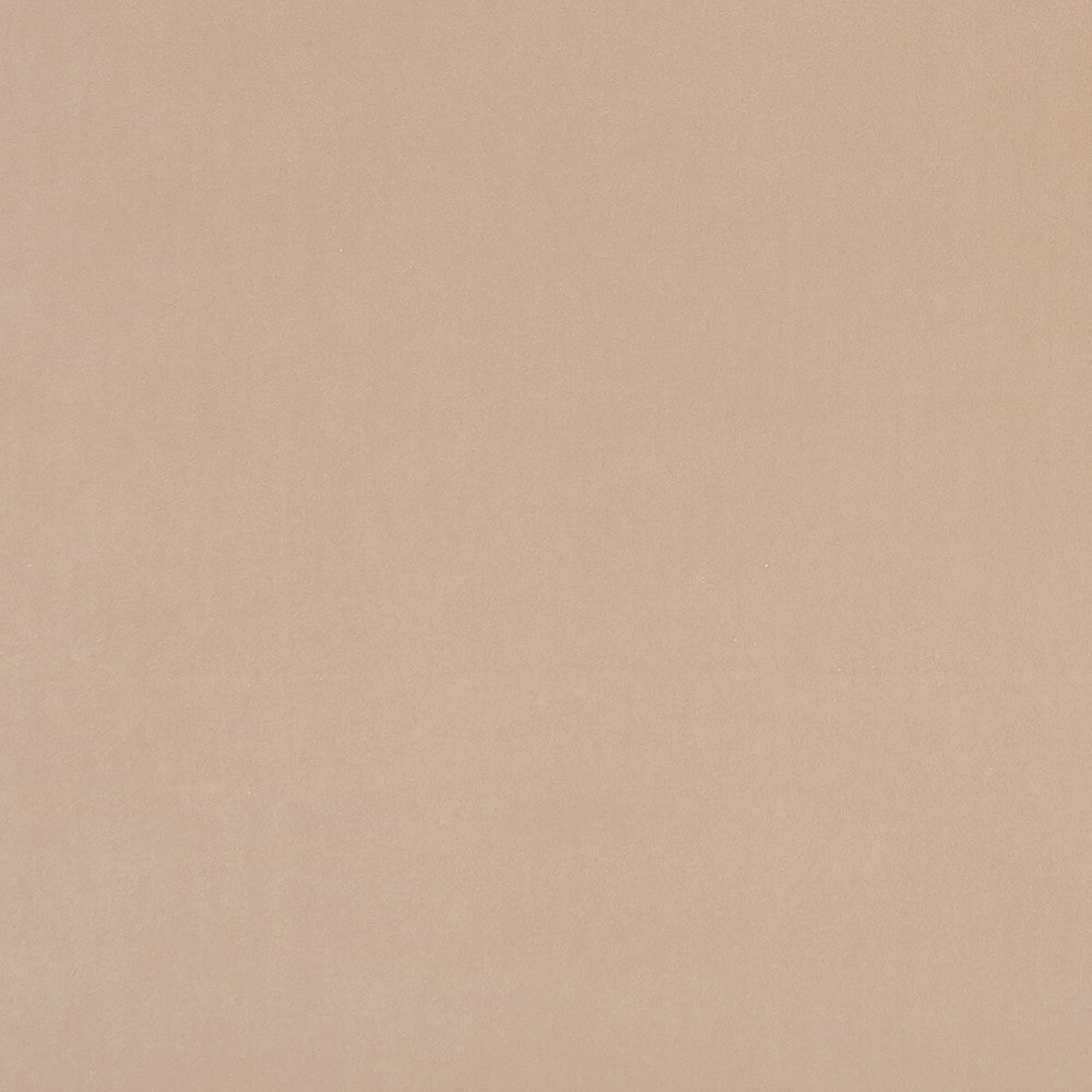 Alvar Nude by Clarke And Clarke Fabric Clarke And Clarke Fabric Alvar NudeFabric CLARKE & CLARKE ALVAR 2 POLYESTER - 100% China </p><p>Repeat: H: 0, V: 0 56.75 - Fabric Carolina -