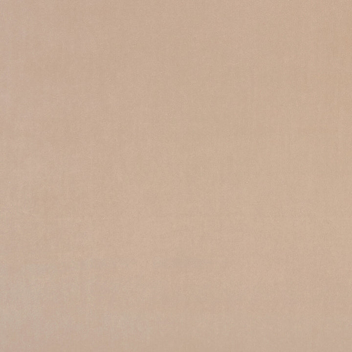 Alvar Nude by Clarke And Clarke Designer Fabric CLARKE & CLARKE ALVAR 2 POLYESTER - 100% China HEAVY Horizontal: 0 and Vertical: 0 56.75 - Swanky Fabrics -