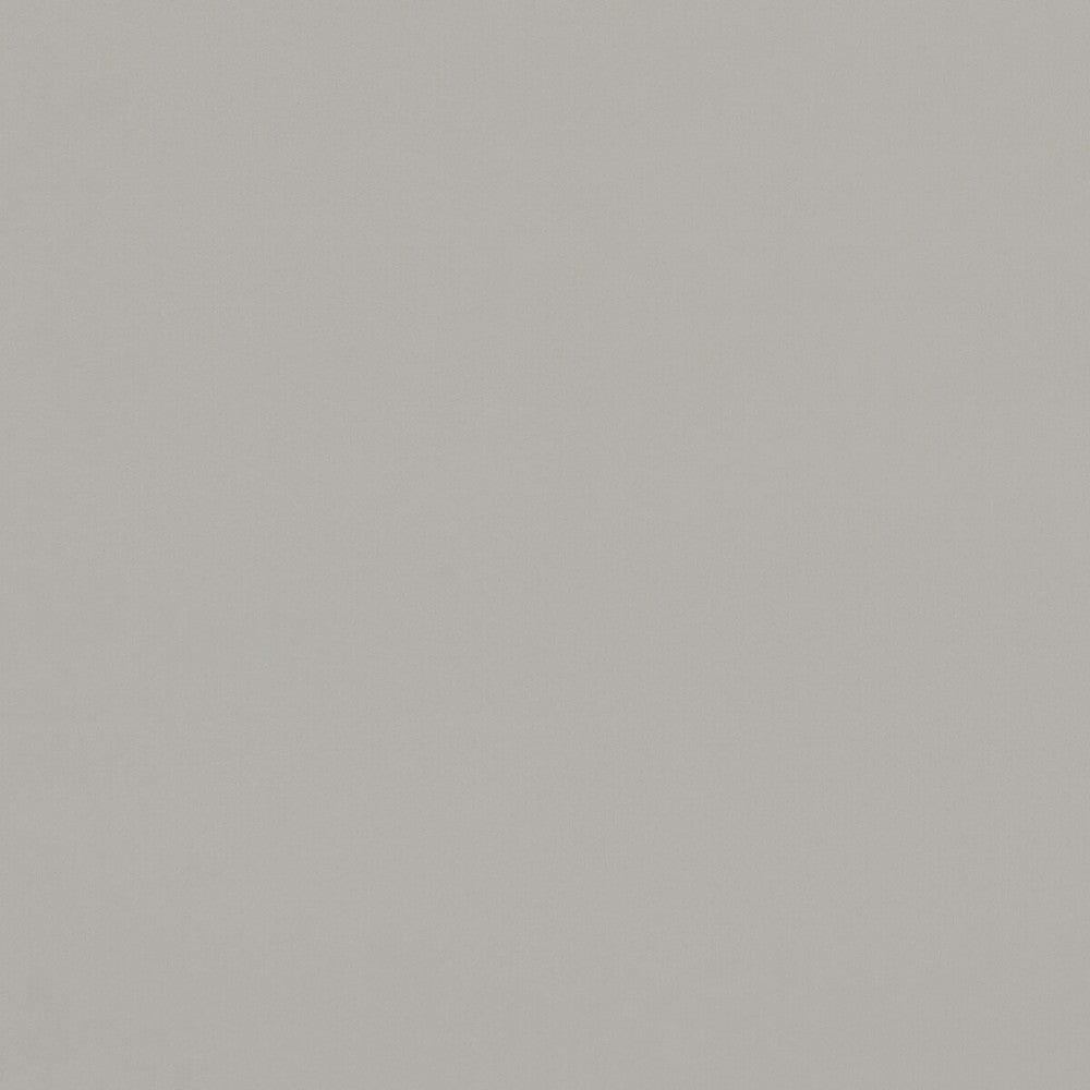 Alvar Pebble by Clarke And Clarke Designer Fabric CLARKE & CLARKE ALVAR 2 POLYESTER - 100% China HEAVY Horizontal: 0 and Vertical: 0 56.75 - Swanky Fabrics -