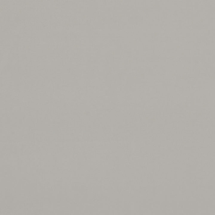 Alvar Pebble by Clarke And Clarke Designer Fabric CLARKE & CLARKE ALVAR 2 POLYESTER - 100% China HEAVY Horizontal: 0 and Vertical: 0 56.75 - Swanky Fabrics -