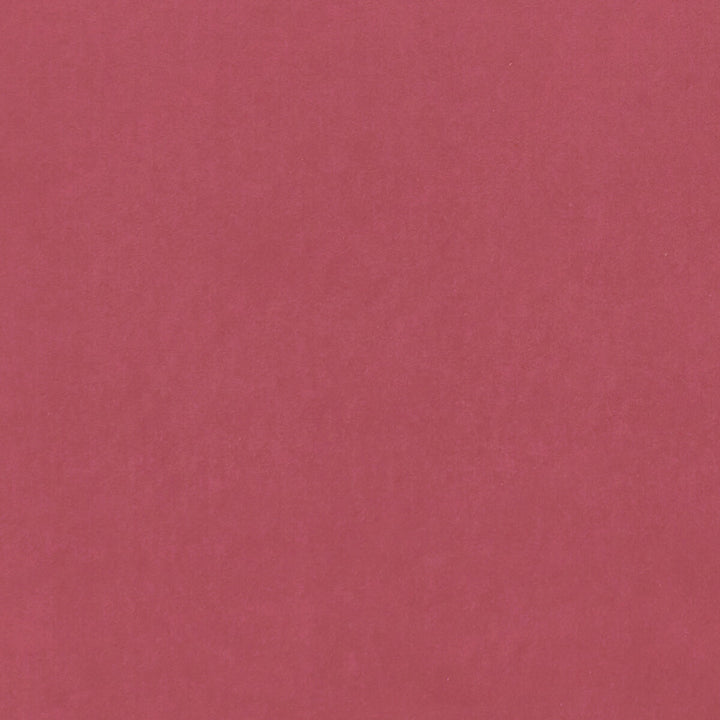 Alvar Peony by Clarke And Clarke Fabric Clarke And Clarke Fabric Alvar PeonyFabric CLARKE & CLARKE ALVAR 2 POLYESTER - 100% China </p><p>Repeat: H: 0, V: 0 56.75 - Fabric Carolina -