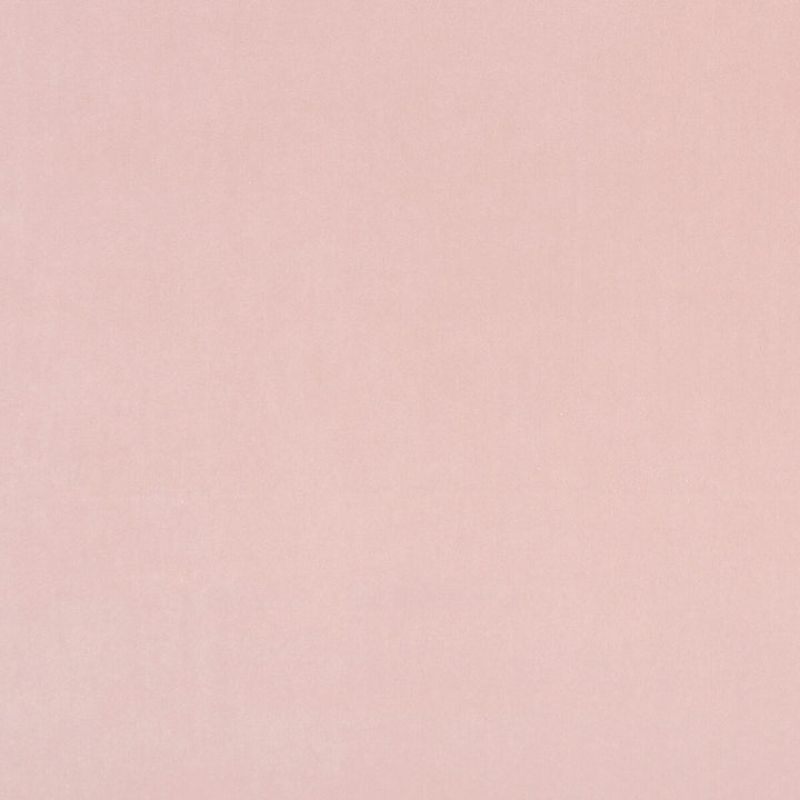 Alvar Petal by Clarke And Clarke Designer Fabric CLARKE & CLARKE ALVAR 2 POLYESTER - 100% China HEAVY Horizontal: 0 and Vertical: 0 56.75 - Swanky Fabrics -