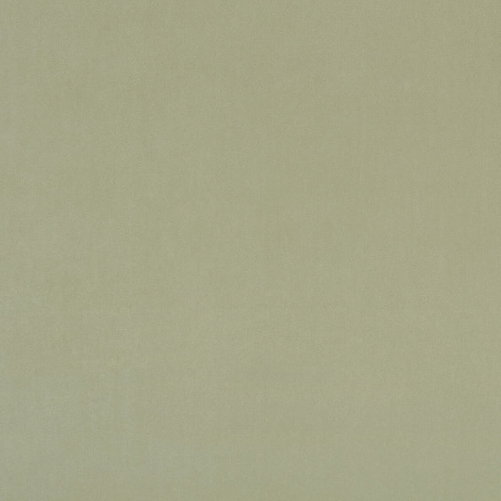 Alvar Thyme by Clarke And Clarke Designer Fabric CLARKE & CLARKE ALVAR 2 POLYESTER - 100% China HEAVY Horizontal: 0 and Vertical: 0 56.75 - Swanky Fabrics -