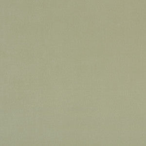 Alvar Thyme by Clarke And Clarke Designer Fabric