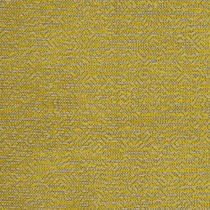 Beauvoir Citrus by Clarke And Clarke Designer Fabric