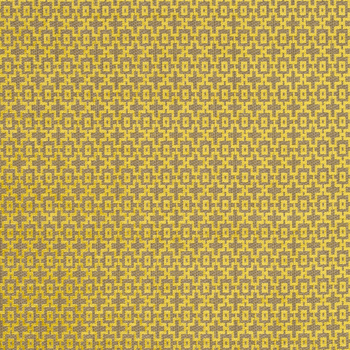 Mansour Citrus by Clarke And Clarke Designer Fabric CLARKE & CLARKE LATOUR VISCOSE - 70%;COTTON - 30% Turkey HEAVY Horizontal: 1.14 and Vertical: 1.61 56 - Swanky Fabrics -