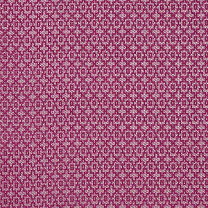 Mansour Passion by Clarke And Clarke Designer Fabric