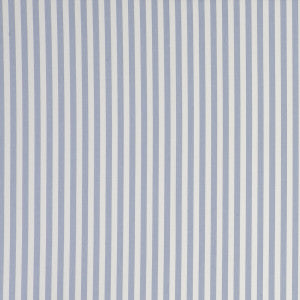 Party Stripe Stripe Chambray by Clarke And Clarke Designer Fabric