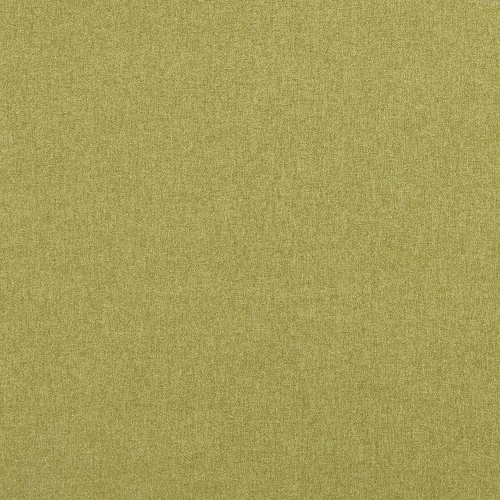 Highlander Fern by Clarke And Clarke Designer Fabric CLARKE & CLARKE HIGHLANDER POLYESTER - 100% China HEAVY Horizontal: 0 and Vertical: 0 57 - Swanky Fabrics -