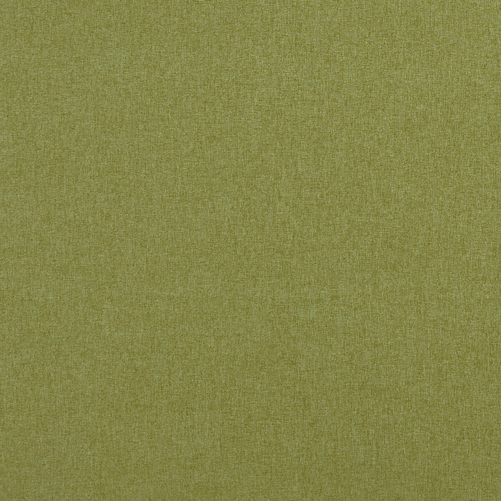 Highlander Leaf by Clarke And Clarke Fabric Clarke And Clarke Fabric Highlander LeafFabric CLARKE & CLARKE HIGHLANDER 2 POLYESTER - 100% China </p><p>Repeat: H: 0, V: 0 57 - Fabric Carolina -