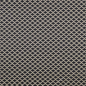 Reggio Ebony by Clarke And Clarke Designer Fabric
