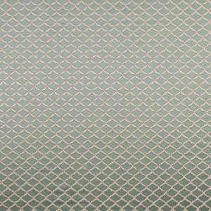 Reggio Mineral by Clarke And Clarke Designer Fabric