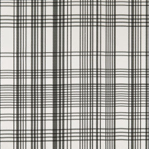 Bw1006 Black/White by Clarke And Clarke Designer Fabric