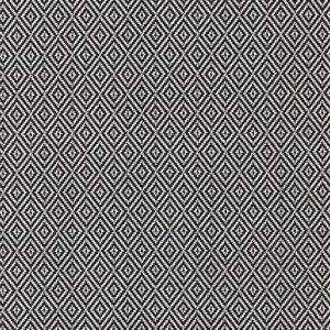 Bw1025 Black/White by Clarke And Clarke Designer Fabric