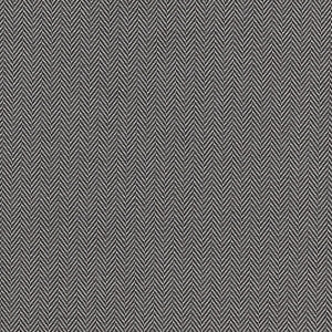 Bw1026 Black/White by Clarke And Clarke Designer Fabric