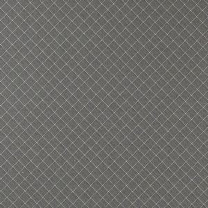 Bw1031 Black/White by Clarke And Clarke Designer Fabric