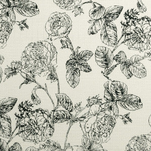 Bw1035 Black/White by Clarke And Clarke Designer Fabric