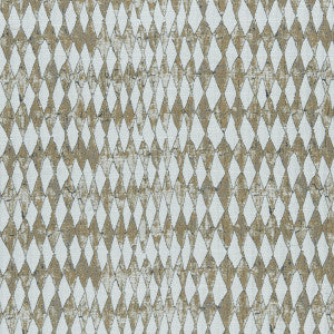 Amara Cinnamon by Clarke And Clarke Designer Fabric