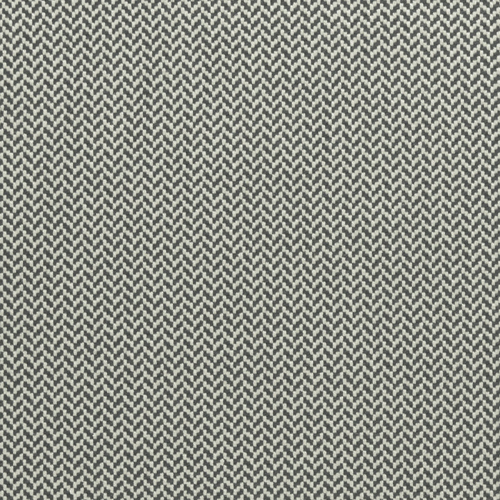 Zalika Charcoal by Clarke And Clarke Designer Fabric CLARKE & CLARKE AMARA COTTON - 97%;POLYESTER - 3% India HEAVY Horizontal: 0.43 and Vertical: 0.24 55 - Swanky Fabrics -