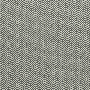 Zalika Charcoal by Clarke And Clarke Designer Fabric
