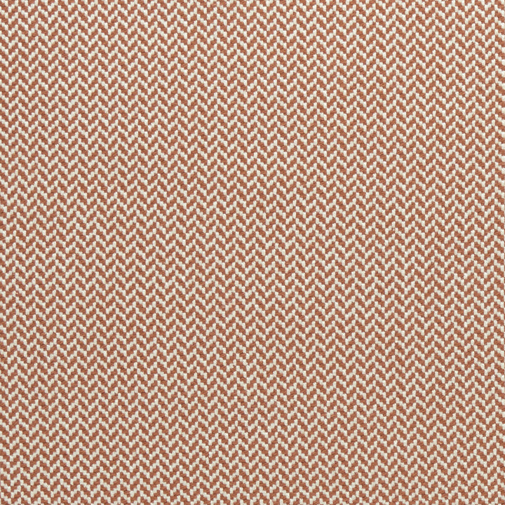Zalika Cinnabar by Clarke And Clarke Designer Fabric CLARKE & CLARKE AMARA COTTON - 97%;POLYESTER - 3% India HEAVY Horizontal: 0.43 and Vertical: 0.24 55 - Swanky Fabrics -