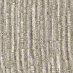 Biarritz Cappuccino by Clarke And Clarke Designer Fabric