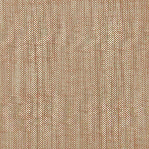 Biarritz Cinnamon by Clarke And Clarke Designer Fabric