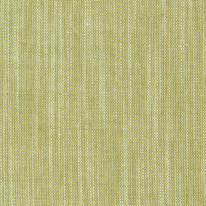 Biarritz Citrus by Clarke And Clarke Designer Fabric CLARKE & CLARKE BIARRITZ VISCOSE - 70%;LINEN - 30% India HEAVY Horizontal: 0 and Vertical: 0 55 - Swanky Fabrics -
