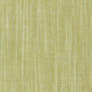 Biarritz Citrus by Clarke And Clarke Designer Fabric