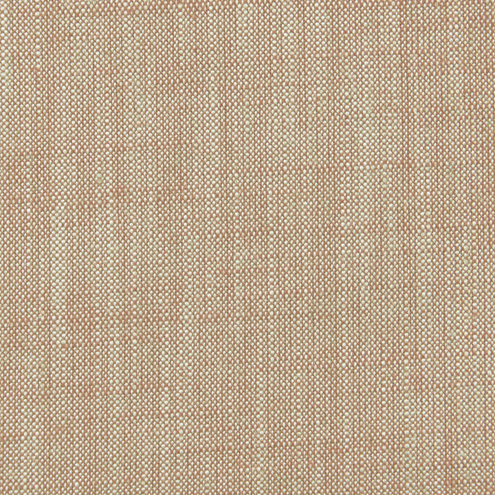 Biarritz Coral by Clarke And Clarke Designer Fabric CLARKE & CLARKE BIARRITZ VISCOSE - 70%;LINEN - 30% India HEAVY Horizontal: 0 and Vertical: 0 55 - Swanky Fabrics -