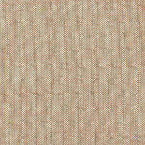 Biarritz Coral by Clarke And Clarke Designer Fabric