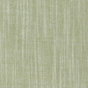Biarritz Eucalyptus by Clarke And Clarke Designer Fabric