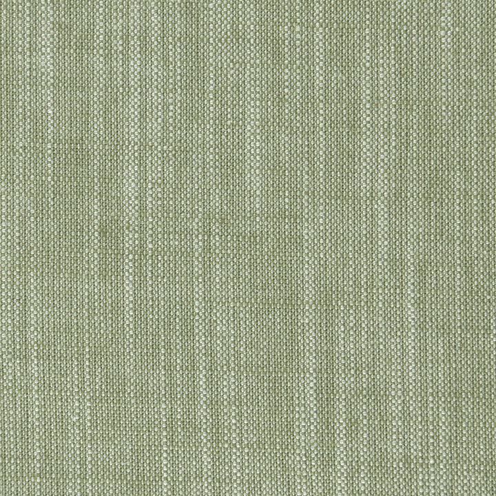 Biarritz Parsley by Clarke And Clarke Designer Fabric CLARKE & CLARKE BIARRITZ VISCOSE - 70%;LINEN - 30% India HEAVY Horizontal: 0 and Vertical: 0 55 - Swanky Fabrics -