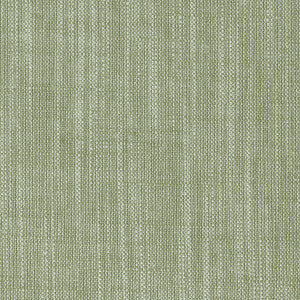 Biarritz Parsley by Clarke And Clarke Designer Fabric